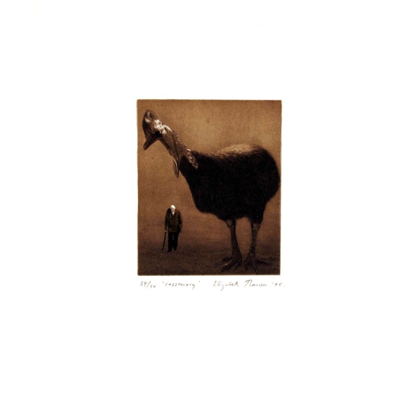 Cassowary