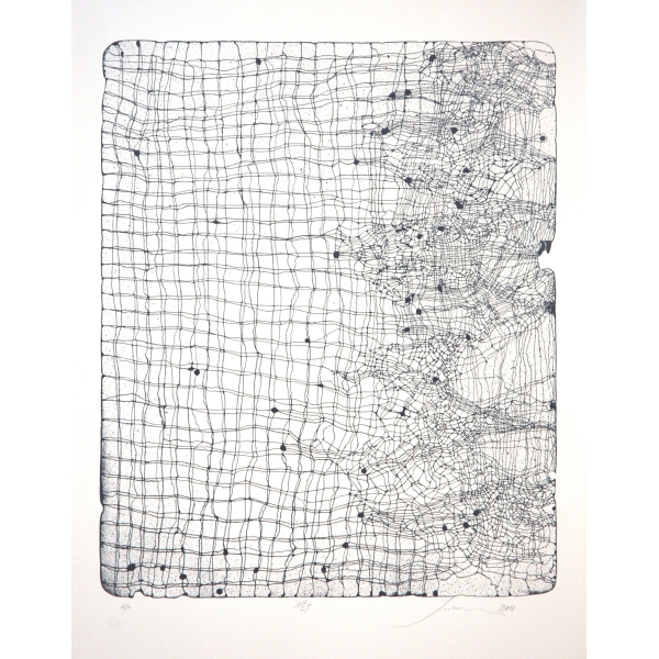 Net (The grand Finale)