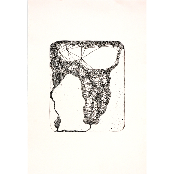 Untitled (Evidence)
